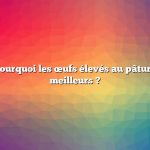 Question : Pourquoi les œufs élevés au pâturage sont-ils meilleurs ?